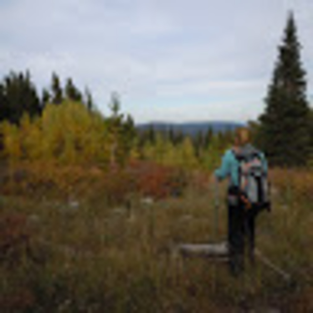 Meet your Posher, Kyrsti